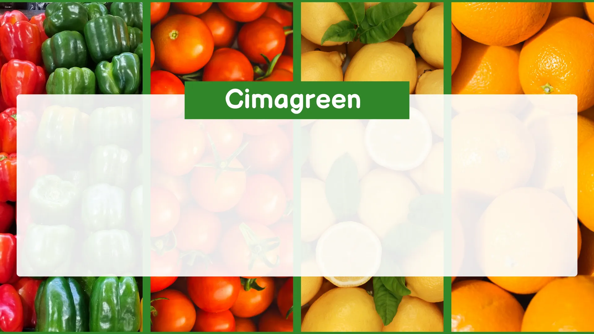 Distribución B2B de frutas y verduras desde España – directo del campo a su negocio