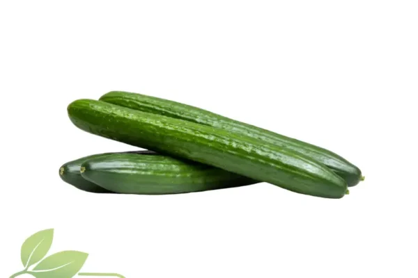 Pepino
