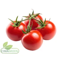 Spanische Tomaten fünf Sorten Pera Rama Cherry Beef Redondo – Frische Premiumqualität B2B