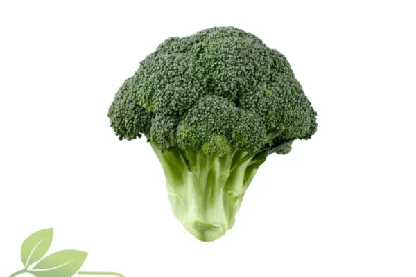 Brócoli