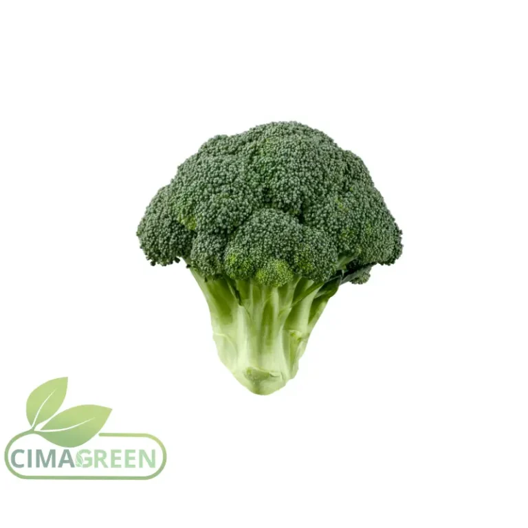 Brócoli verde fresco español variedad Calabrés para exportación B2B
