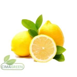 Caja de limones españoles frescos para exportación B2B mayorista