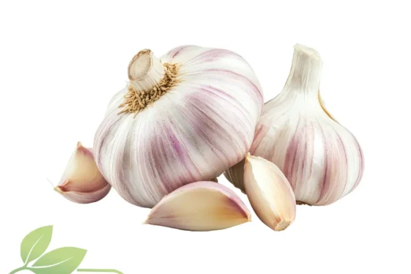 Ajo