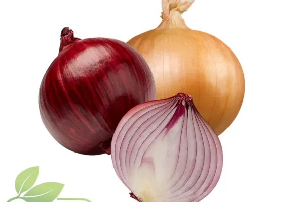 Cebolla