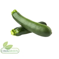 Calabacines frescos españoles variedad Fino para exportación B2B