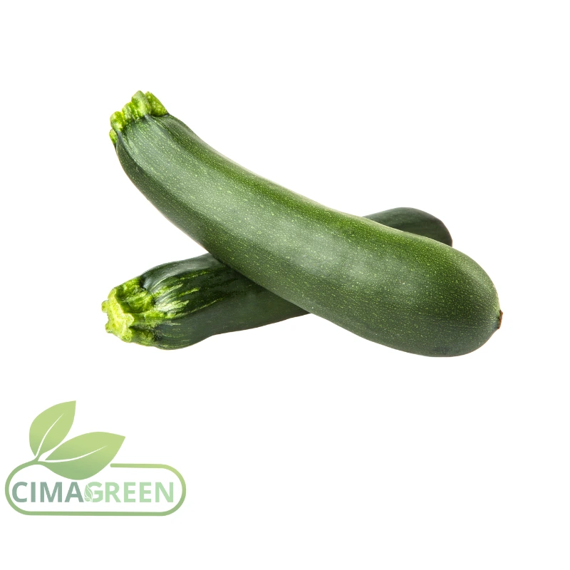 Calabacines frescos españoles variedad Fino para exportación B2B