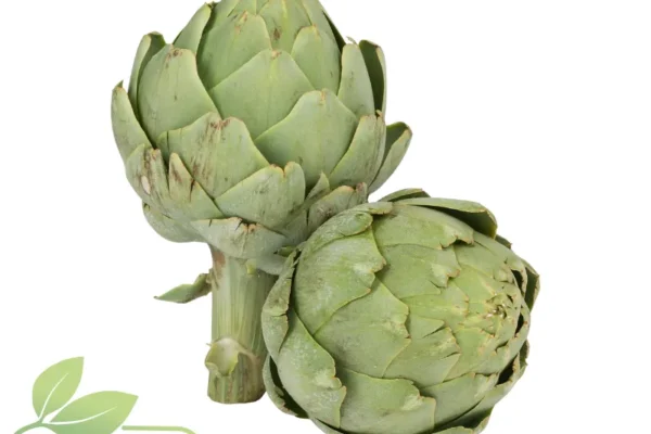 Alcachofa