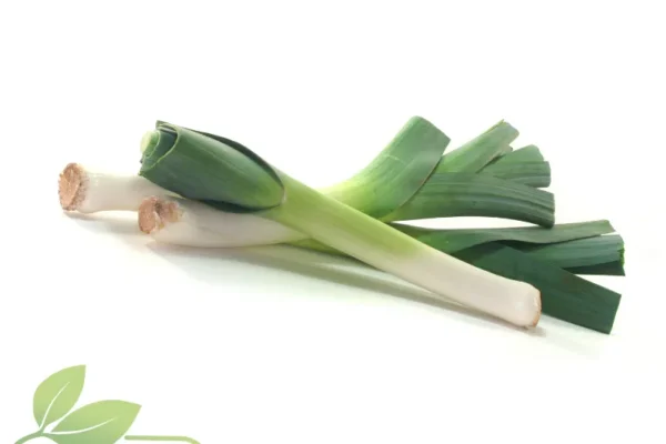 Lauch