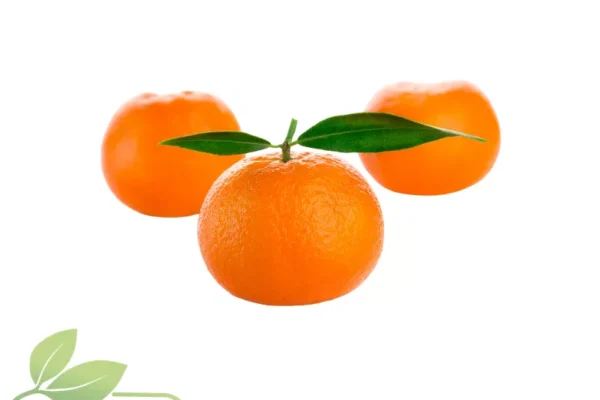 Mandarinen