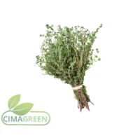 Frischer Thymian aus Spanien – Kleine ledrige Blätter mit würzigem Aroma – B2B Qualität