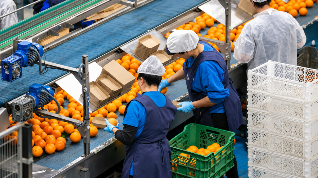 Distribución B2B de frutas y verduras con inspección visual de la calidad del producto